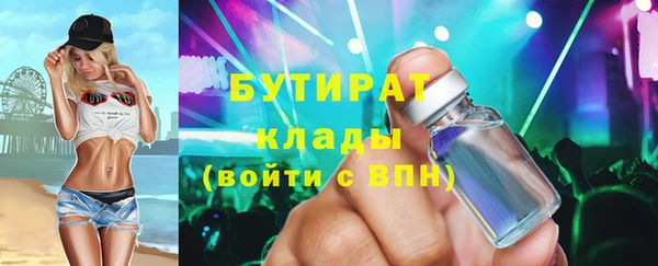 дмт Ельня