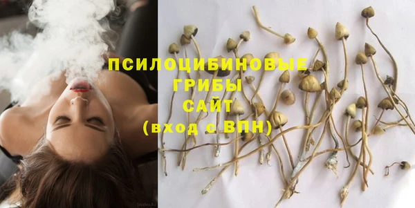 дмт Ельня