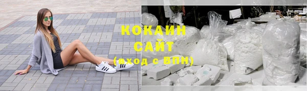 дмт Ельня