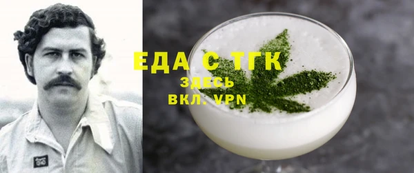 дмт Ельня