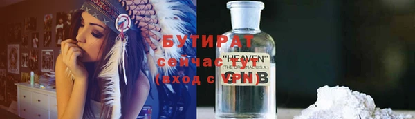 дмт Ельня