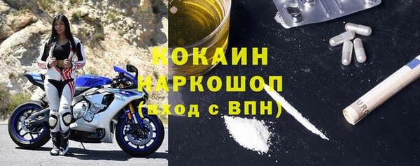 дмт Ельня