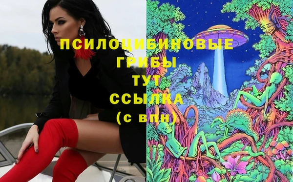 ГАЛЛЮЦИНОГЕННЫЕ ГРИБЫ Елизово