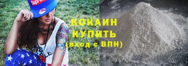 дмт Ельня